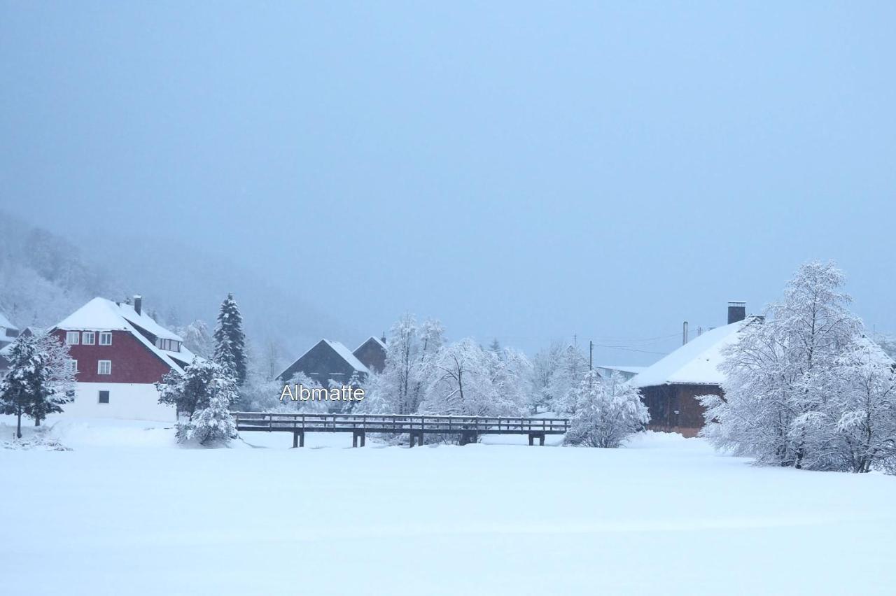 דירות Menzenschwand-Hinterdorf B3 Albmatte-Fewo Sauna, Hallenbad Aussenbecken Massagen Nebenan מראה חיצוני תמונה