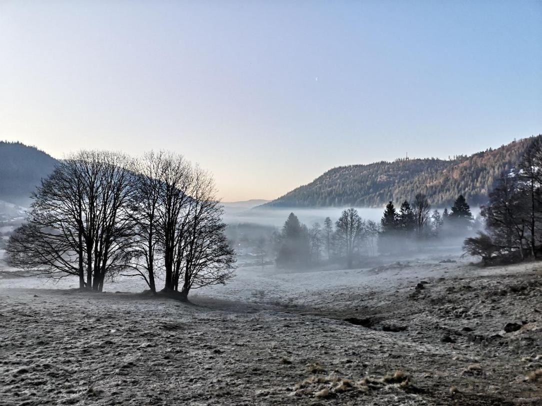 דירות Menzenschwand-Hinterdorf B3 Albmatte-Fewo Sauna, Hallenbad Aussenbecken Massagen Nebenan מראה חיצוני תמונה