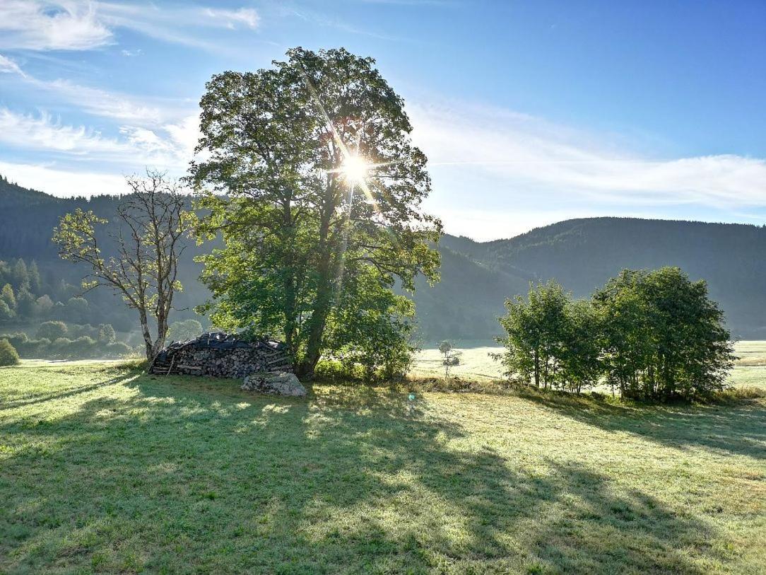 דירות Menzenschwand-Hinterdorf B3 Albmatte-Fewo Sauna, Hallenbad Aussenbecken Massagen Nebenan מראה חיצוני תמונה