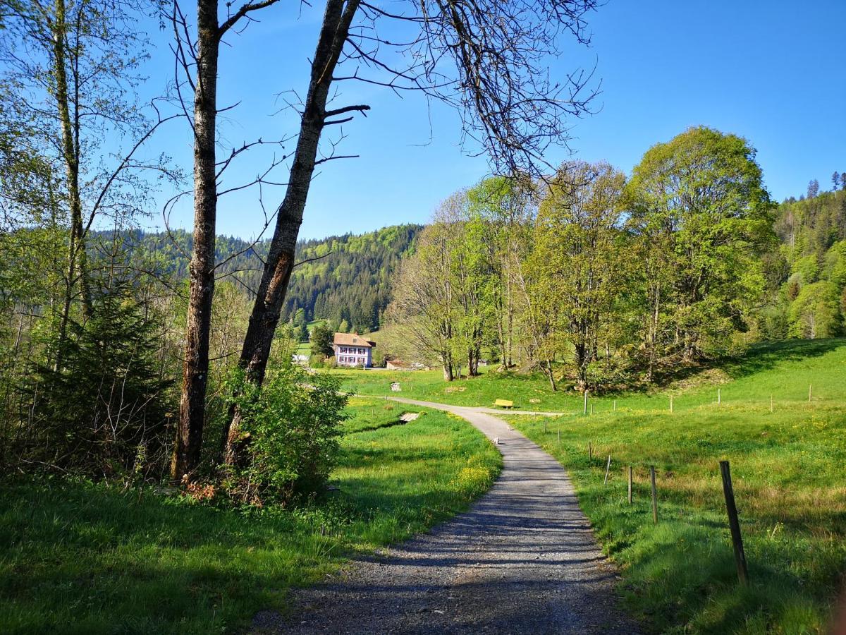 דירות Menzenschwand-Hinterdorf B3 Albmatte-Fewo Sauna, Hallenbad Aussenbecken Massagen Nebenan מראה חיצוני תמונה