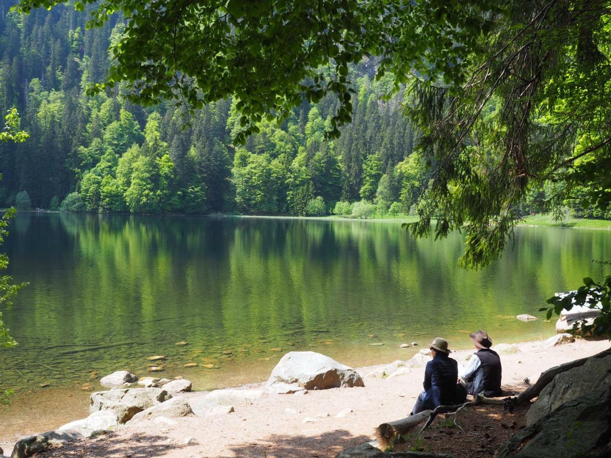 דירות Menzenschwand-Hinterdorf B3 Albmatte-Fewo Sauna, Hallenbad Aussenbecken Massagen Nebenan מראה חיצוני תמונה